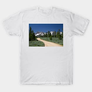 850_1854 T-Shirt